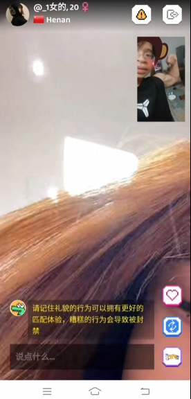 hay小鳄鱼正版