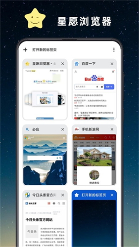 星愿浏览器截图2