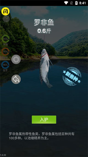 天天钓鱼正版截图1