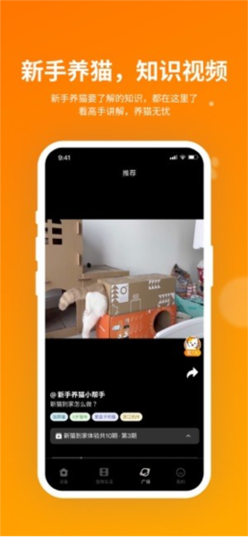 小o猫管家HHOLOVE