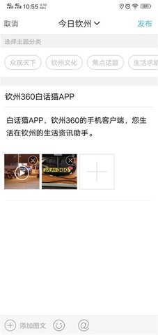 钦州360白话猫