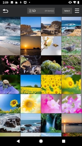 LUMIX Sync最新版截图3