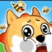 救了个狗正版