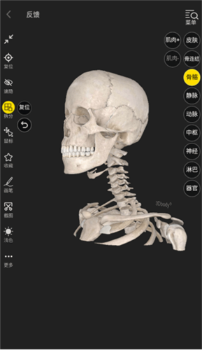 3dbody解剖免费版