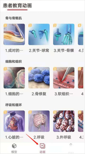 3dbody解剖免费版
