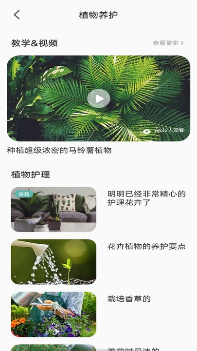 识别植物截图2