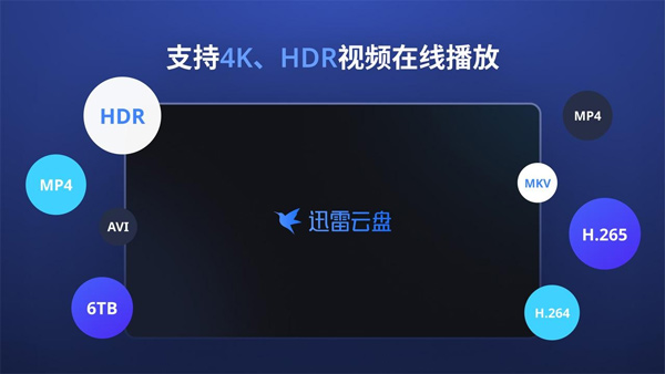 迅雷Tv电视端截图2