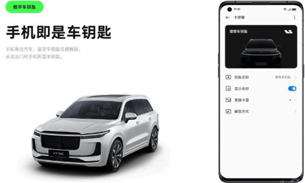 iccoa carlink截图0