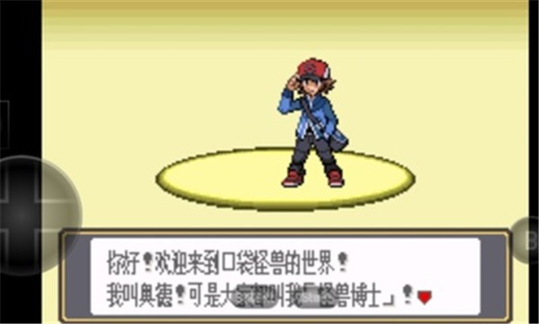 口袋妖怪黑白截图2