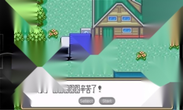 口袋妖怪黑白