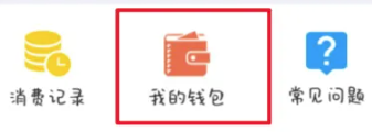 大白U帮