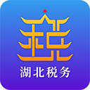 湖北税务最新版
