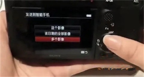 Imaging Edge Mobile