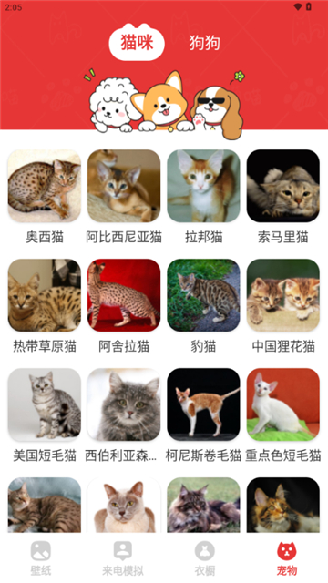 樱桃壁纸截图4