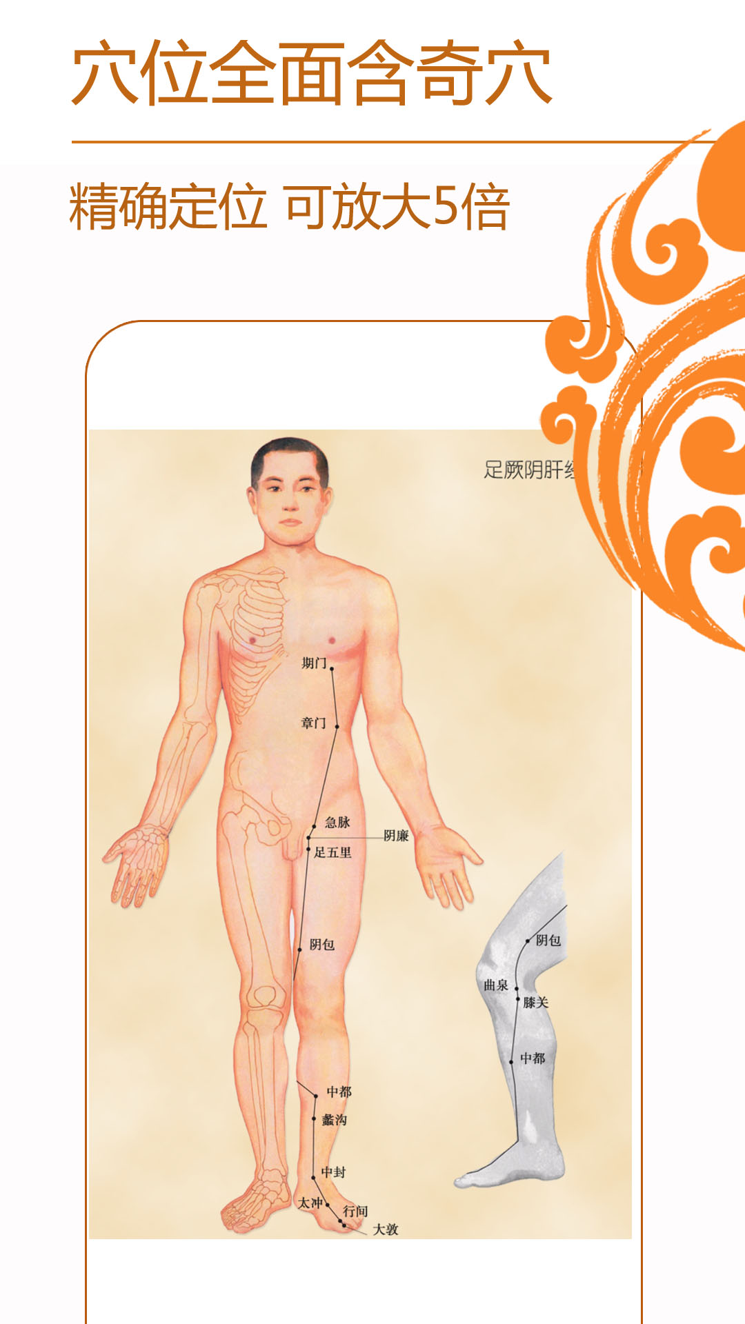 经络养生截图1