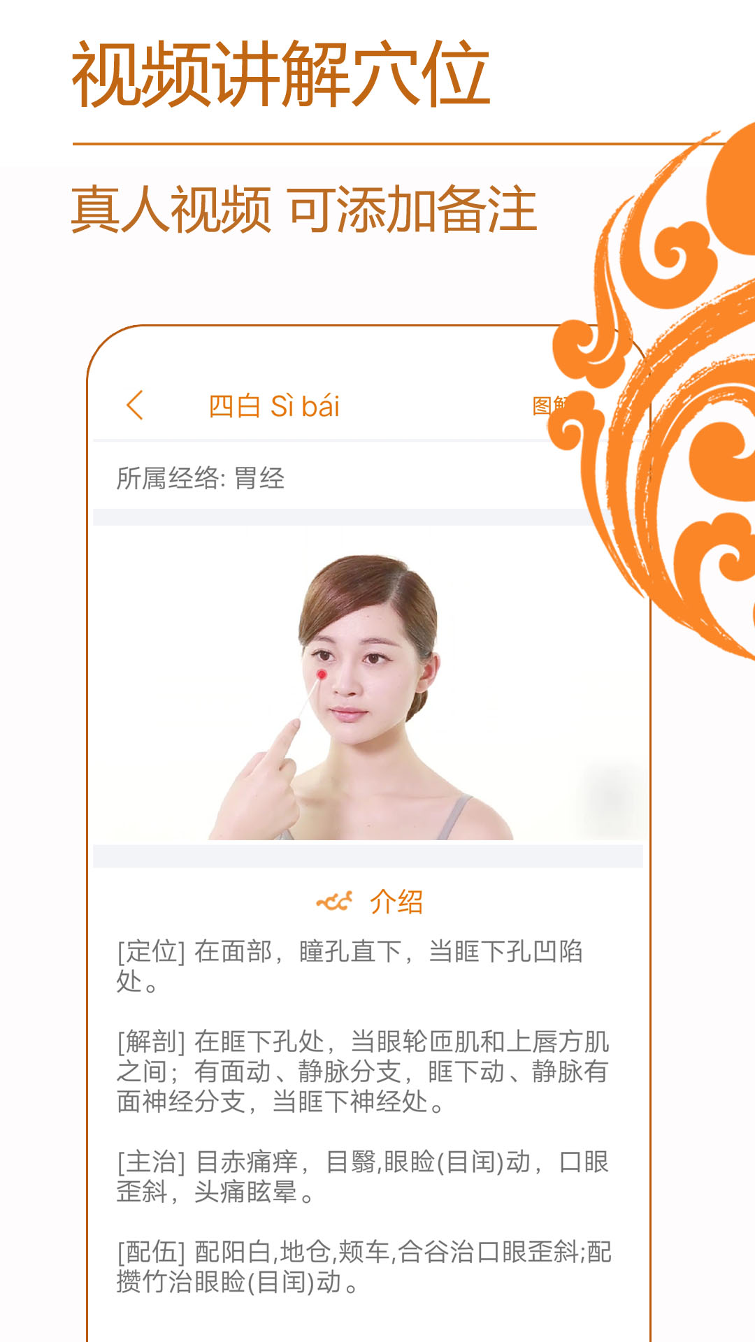 经络养生截图2