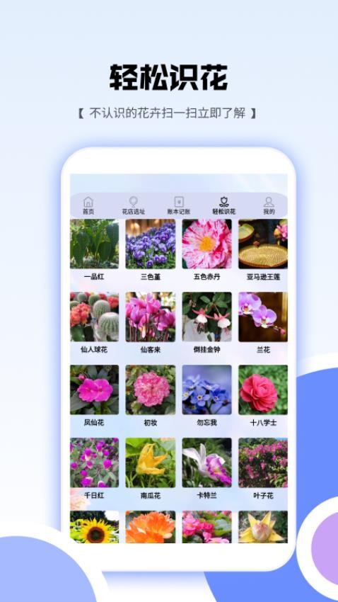 花朵爱消消截图2