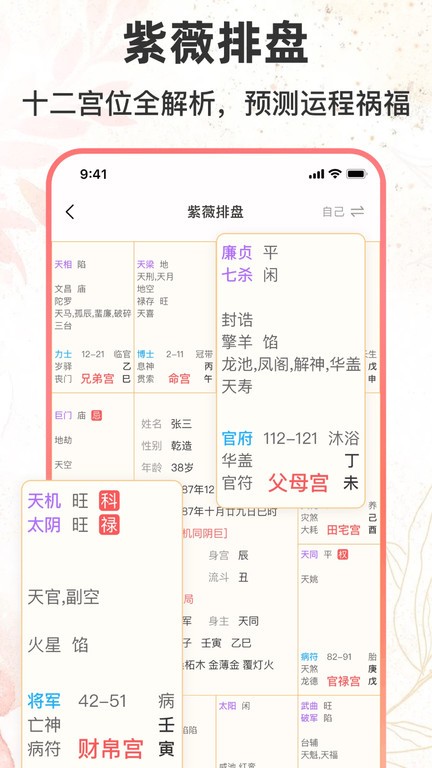 八字排盘助手软件截图3