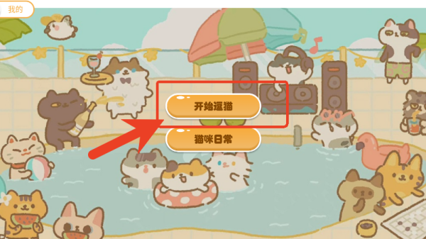 逗猫游戏