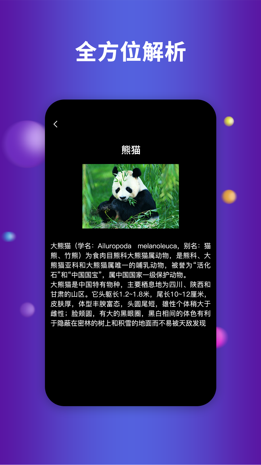 earth地球安卓版截图2