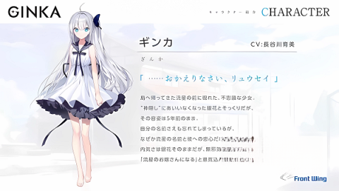 ginka手机汉化版