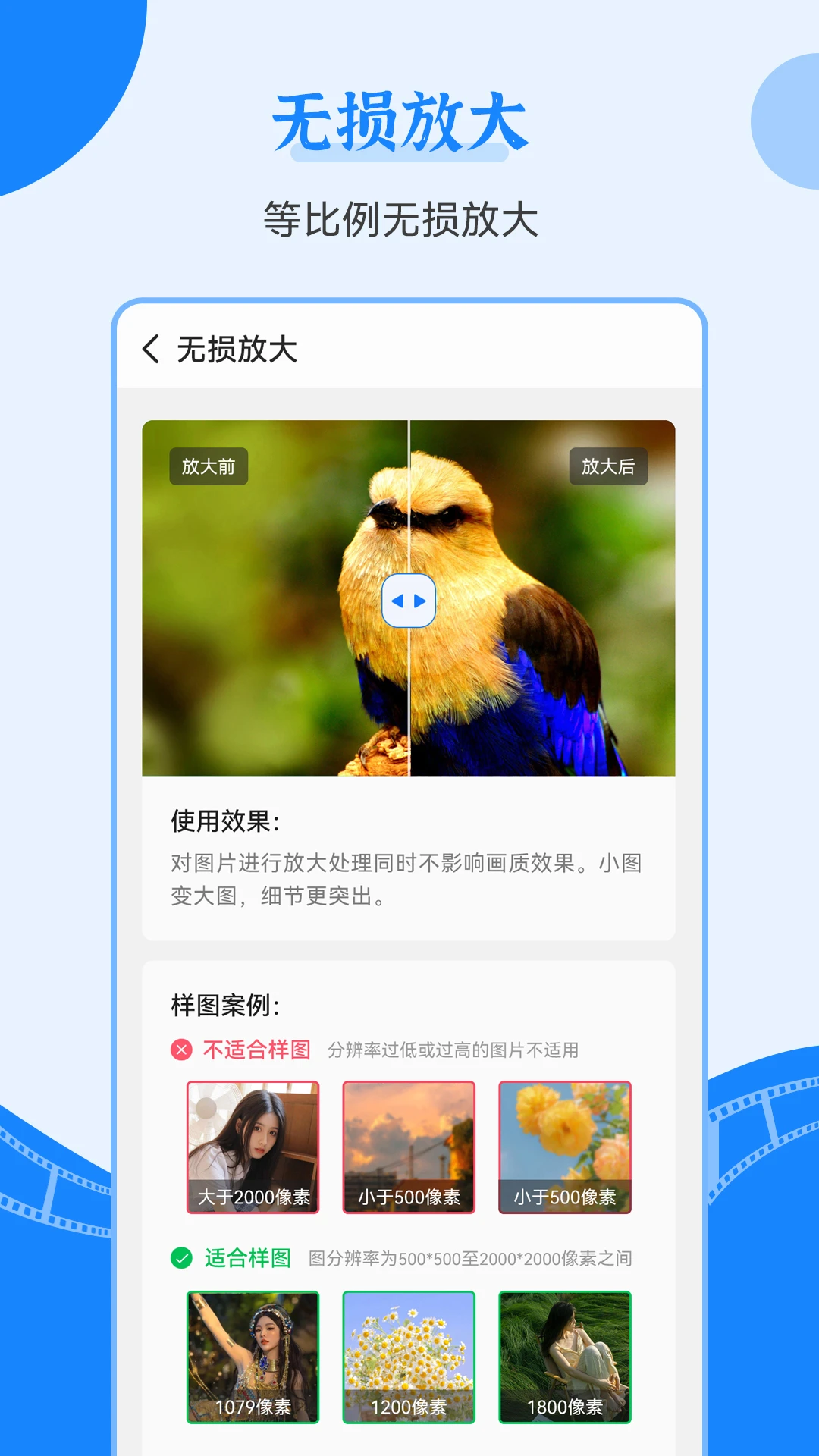 老照片修复王正版截图3