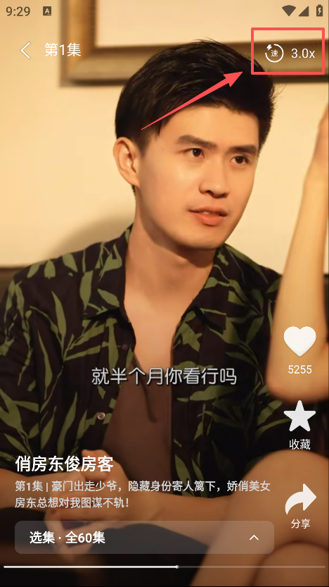 飞猫短剧手机版
