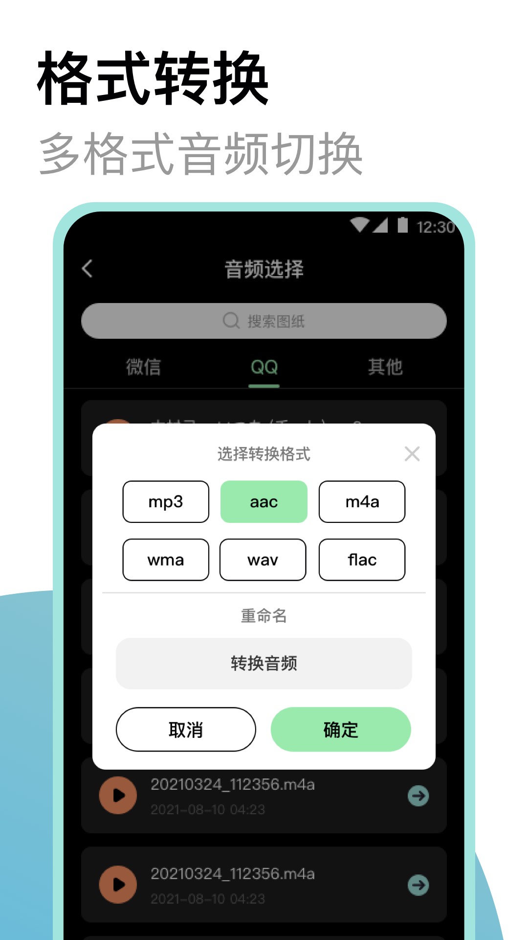 专业录音机截图1