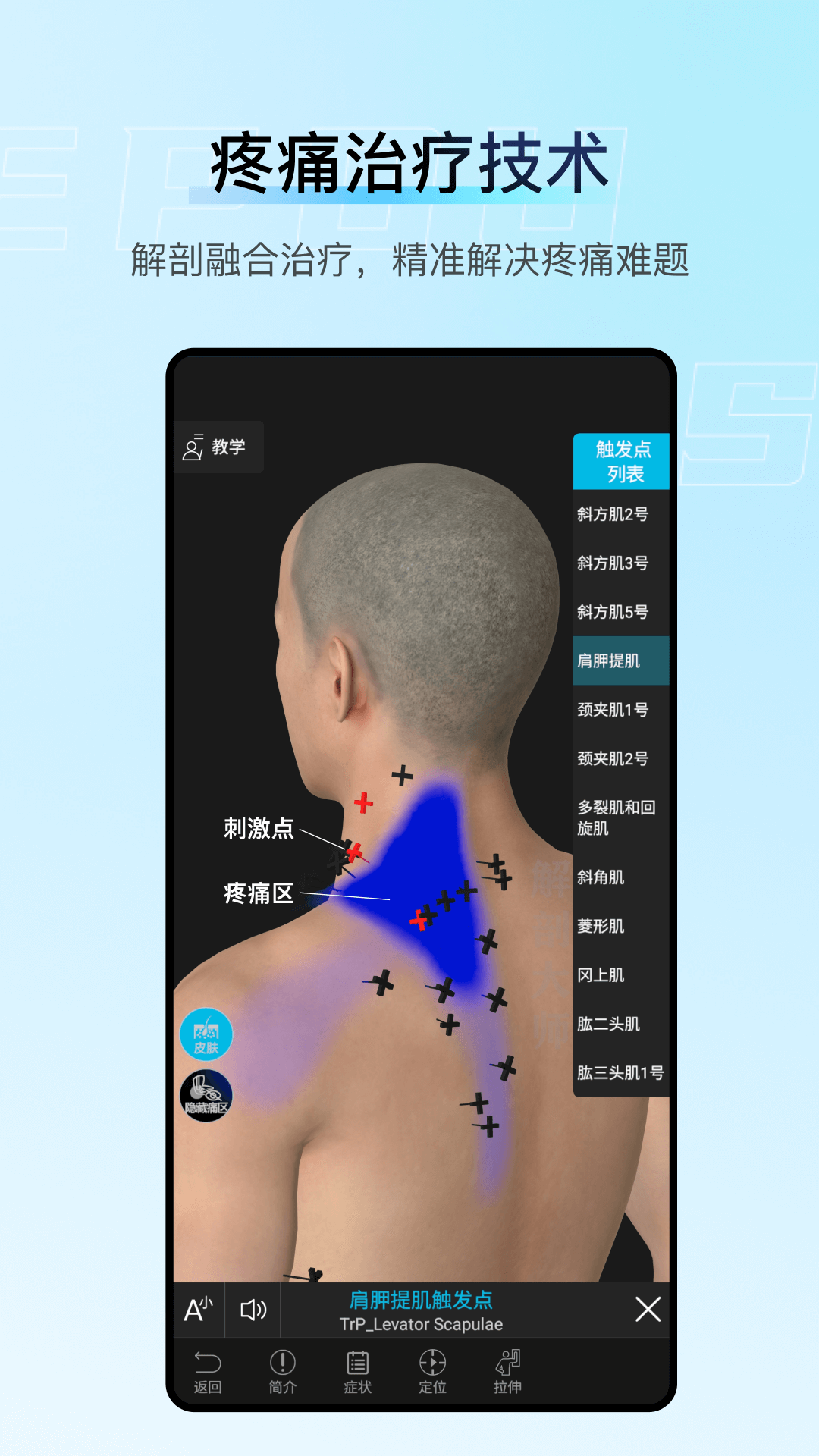 解剖大师截图1