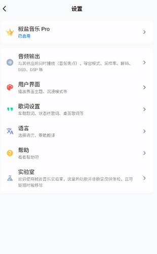 Salt Player截图3