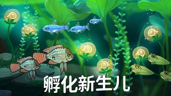 池趣游戏 Pondlife截图1