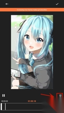 GIFShop