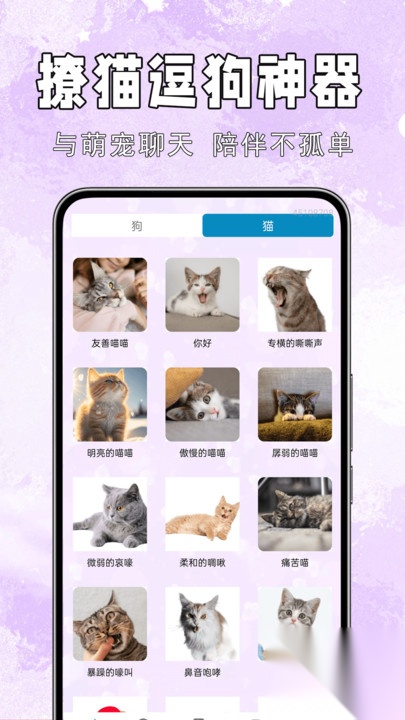手机猫狗交流通截图1
