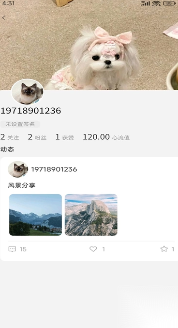 心流世界截图3