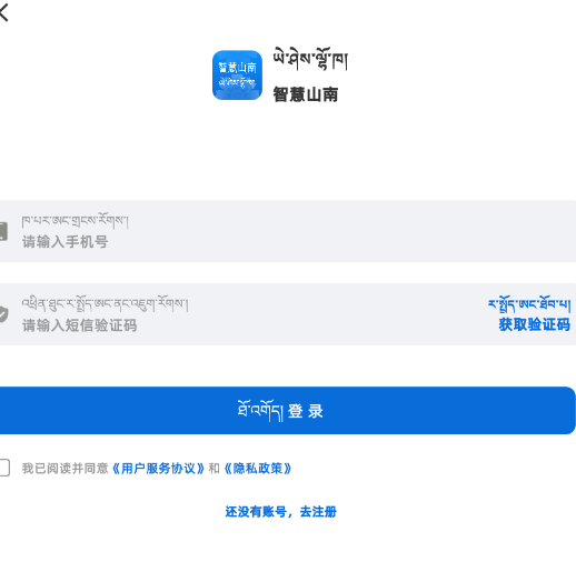 智慧山南