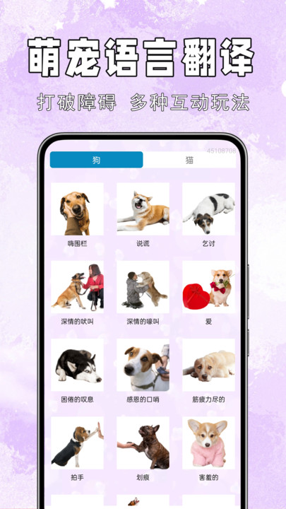 手机猫狗交流通