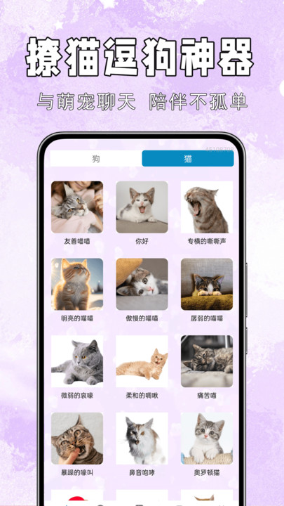 手机猫狗交流通