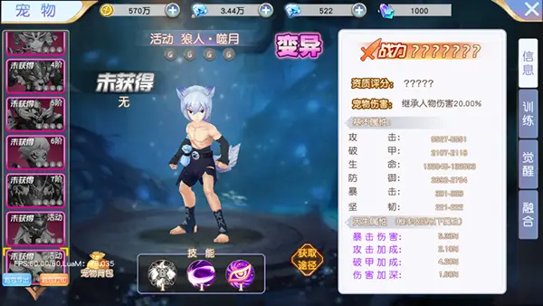 宠物契约