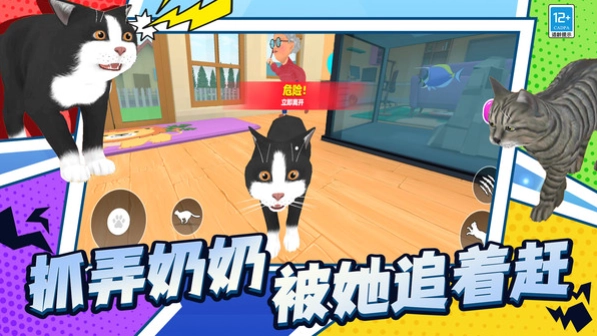 喵星人日常截图0
