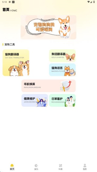 花猫Meow