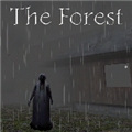 兰德里纳河的森林雨天MOD整合包