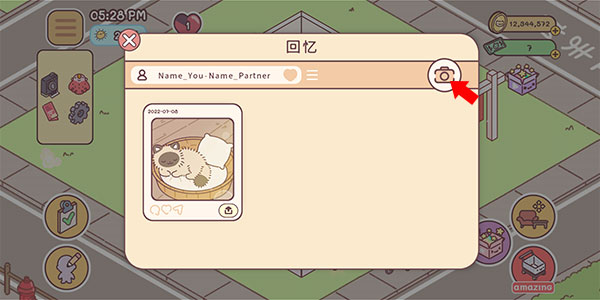 袖珍爱情正版