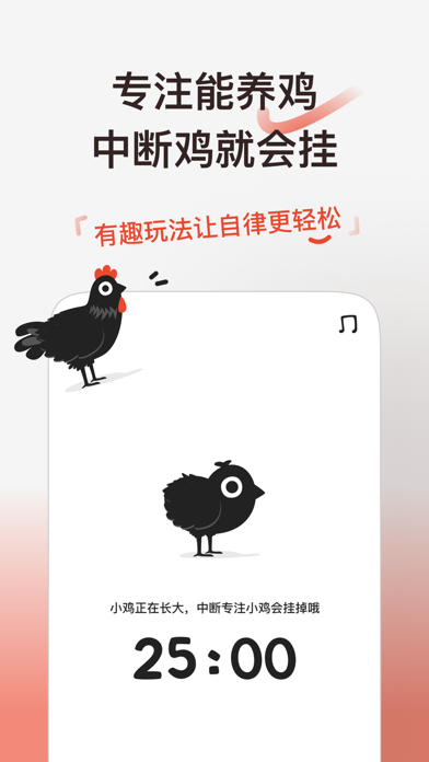 小鸡专注