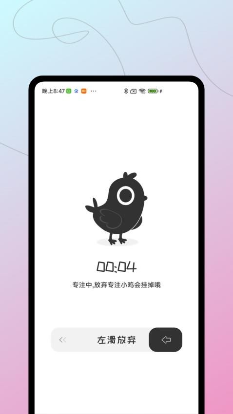 小鸡专注