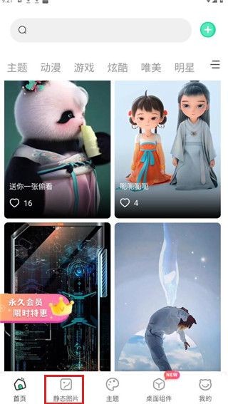哈屏壁纸