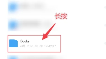雪豹速清大师