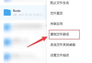 雪豹速清大师