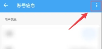 雪豹速清大师