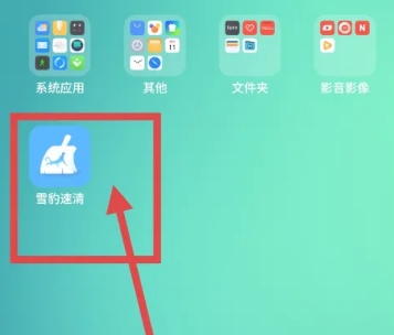 雪豹速清大师