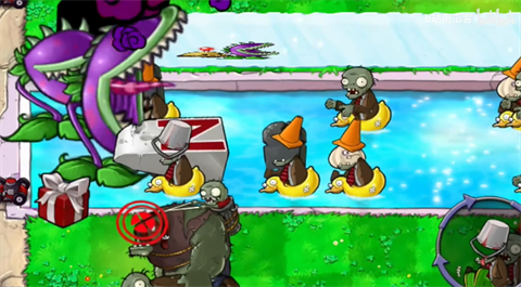 植物大战僵尸吃不了席版